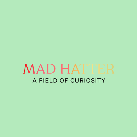 A Field of Curiosity